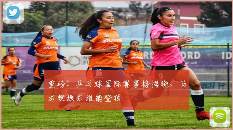 重磅!乒乓球国际赛事榜揭晓,马龙樊振东谁能登顶