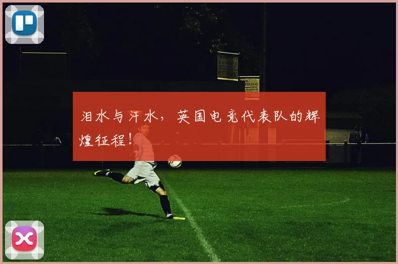泪水与汗水,英国电竞代表队的辉煌征程!